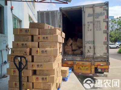 冷冻鲈鱼 速鲜白蕉海鲈的现代水产加工与优势