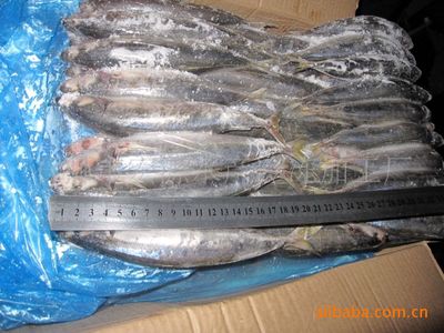 批发冷冻两片装四破鱼 石狮市宏源水产的加工智慧与智农分级体系