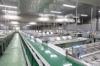 山东蓝润集团再获殊荣 水产品冷冻加工领域再谱新篇