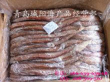 细鳞鱼冷冻加工 现代水产品批发与供应的优质选择