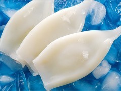 冻鱿鱼系列产品 水产品冷冻加工领域的优质选择
