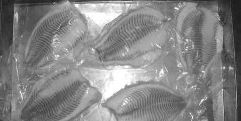 《水产食品加工技术》最新章节 水产品冷冻加工技术解析